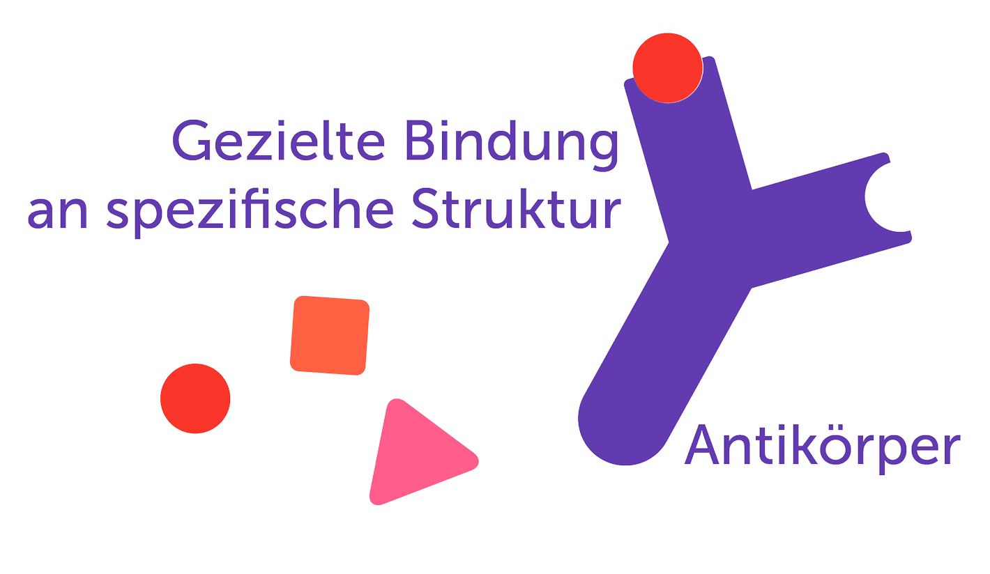 Grafische Darstellung eines Antikörpers bei Biologikatherapie Title Tag: Darstellung eines Antikörpers