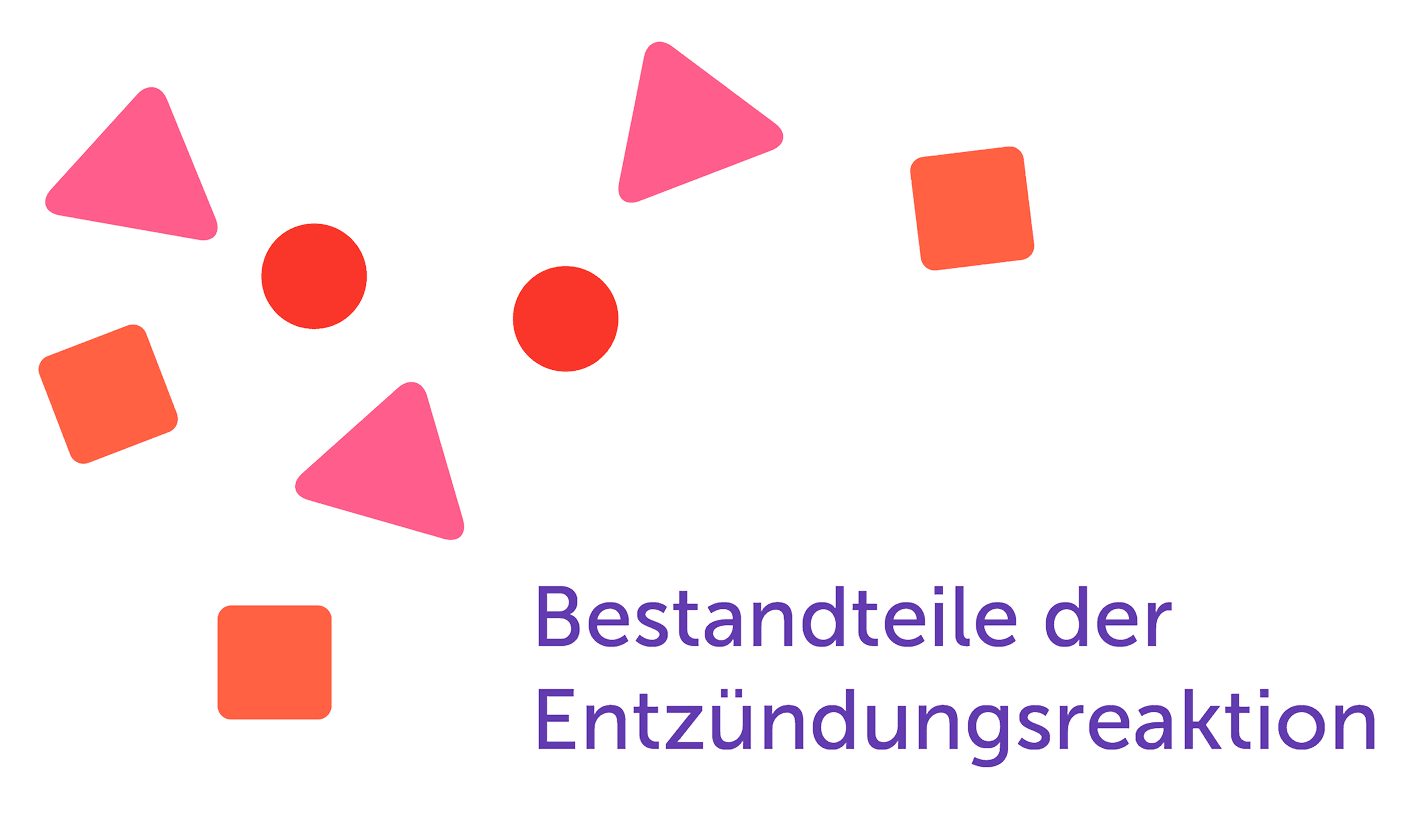 Grafische Darstellung eines Antikörpers bei Biologikatherapie Title Tag: Darstellung eines Antikörpers